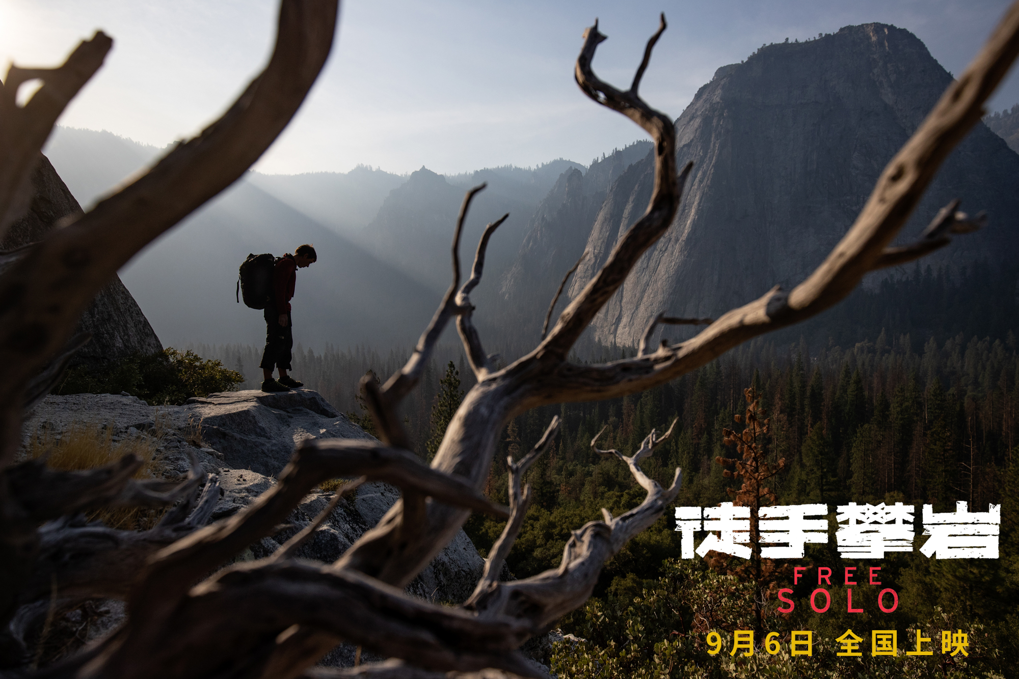 亚历克斯·霍诺德站在岩石顶部俯瞰山脚